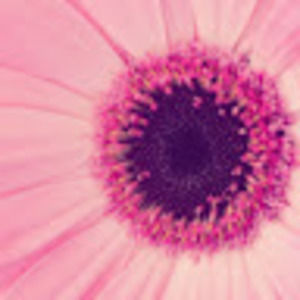 Meet your Posher, Carly